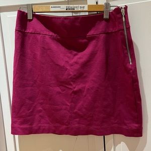 Banana Republic Pencil Skirt